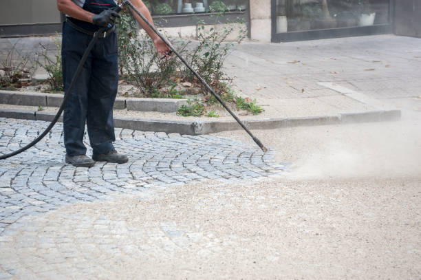 Best Fence Cleaning  in Point Pleasant, NJ